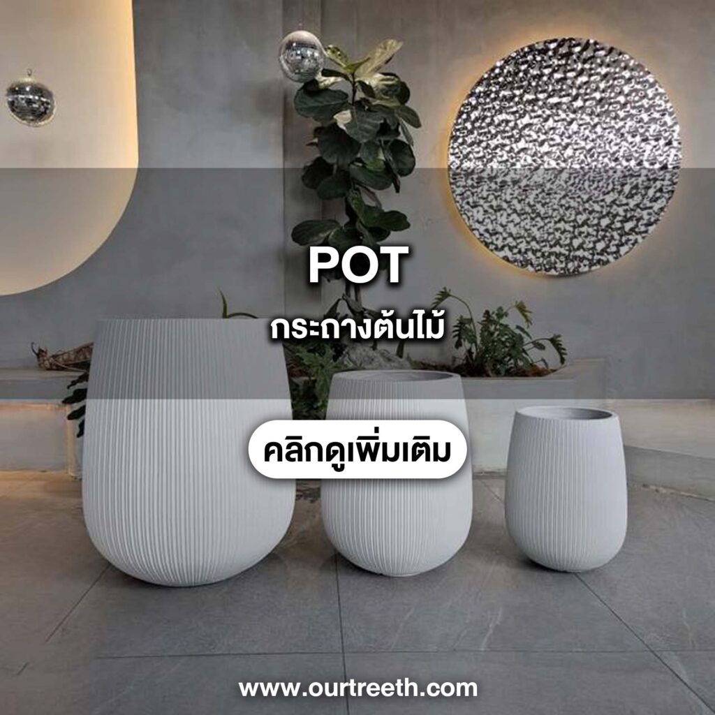 กระถางต้นไม้ กระถางต้นไม้ปลอมราคา กระถางต้นไม้ปลอม ราคาถูก