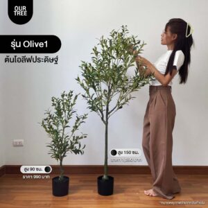 ต้นโอลีฟ ต้นไม้ประดิษฐ์ ต้นโอลีฟปลอม ต้นมะกอกโอลีฟ ต้นมะกอก ต้นไม้มงงคล ต้นไม้ปลอม1