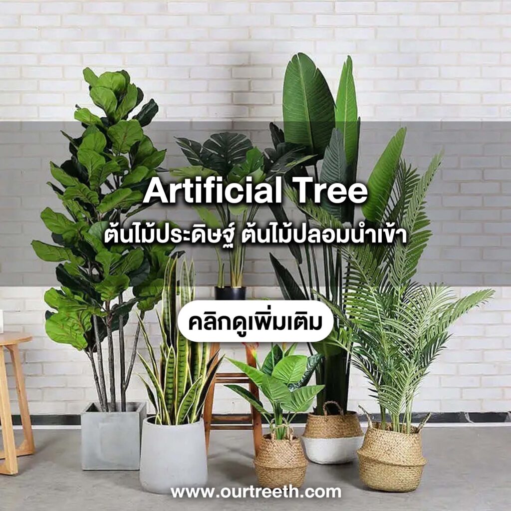 ต้นไม้ปลอม ต้นไม้ประดิษฐ์ ต้นไม้ ต้นไม้นำเข้า