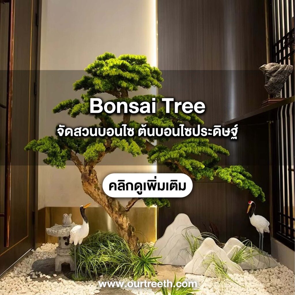 ต้นไม้ประดิษฐ์ ต้นไม้ปลอม แต่งบ้าน ต้นไม้ ต้นไม้ปลอมขนาดใหญ่ ต้นบอนไซ บอนไซญี่ปุ่น