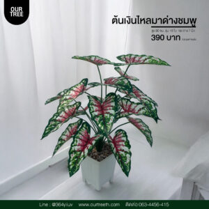 ต้นเงินไหลมาด่างชมพู ต้นไม้ประดิษฐ์ ต้นไม้ปลอม Artificial trees